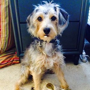 Meet your Posher, Allison